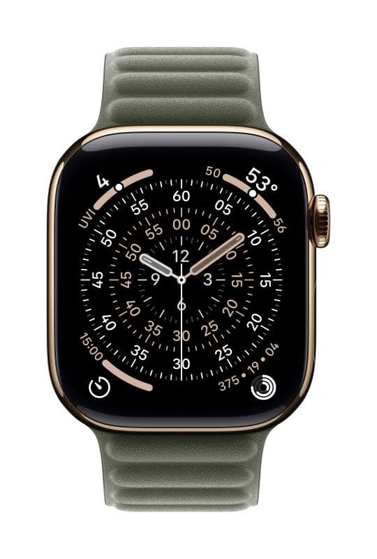 Apple Watch 42mm Sage Gray Magnetic Link - S/M