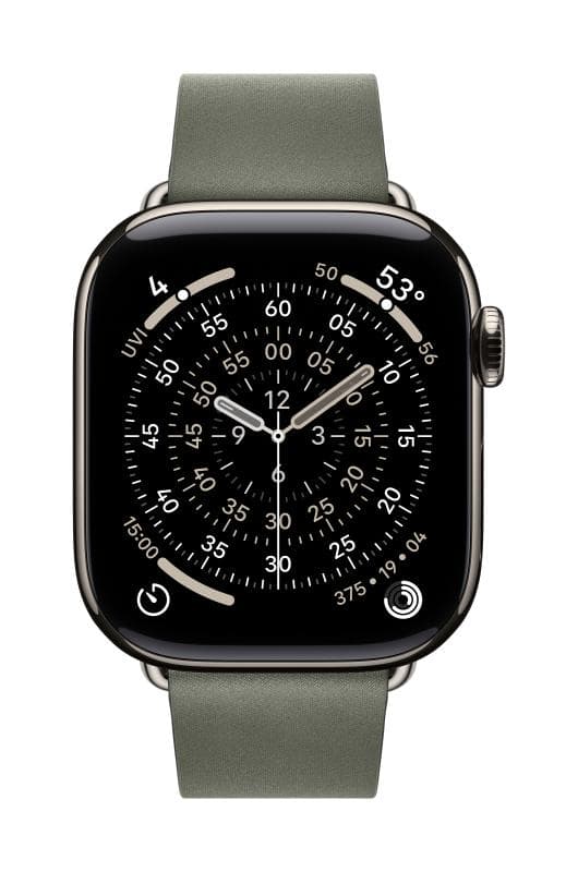 Apple Watch 42mm Sage Gray Modern Buckle - Medium