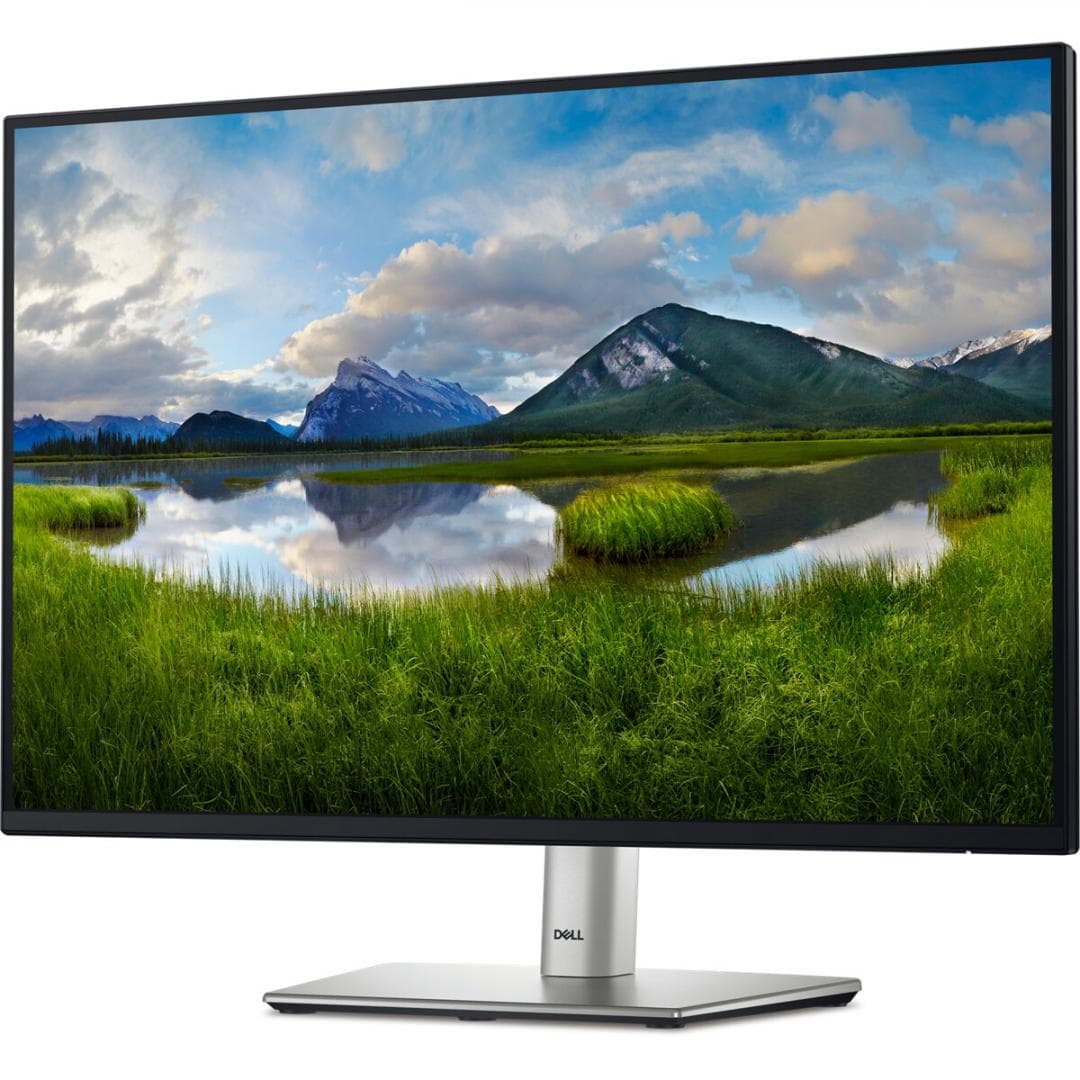 Monitor Dell 24" P2425 WUXGA 61.13 CM, 100Hz, 5Ms