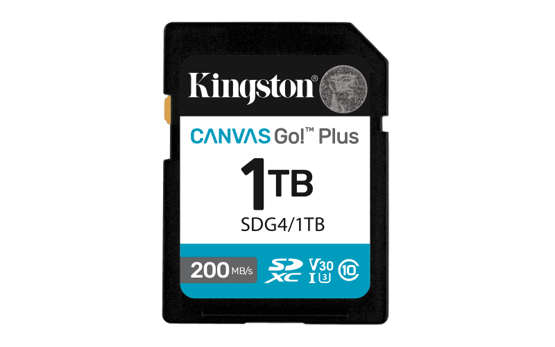 Card de Memorie SD Kingston Canvas GO Plus CL 10