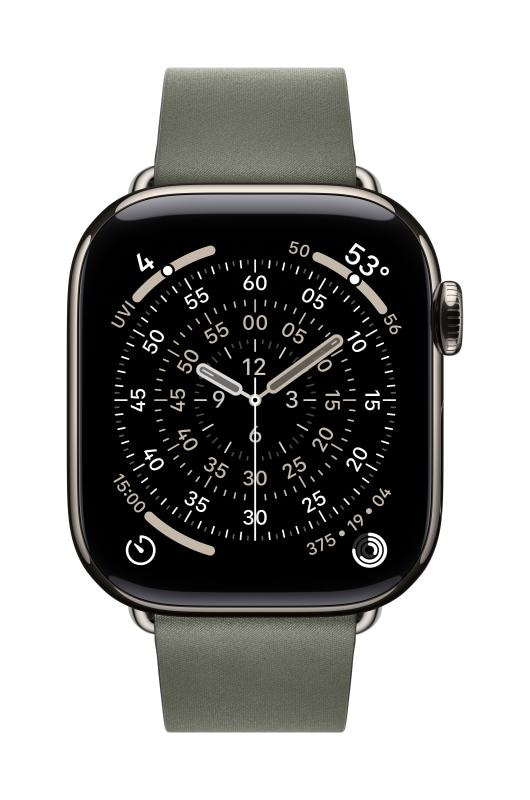 Apple Watch 42mm Sage Gray Modern Buckle - Large